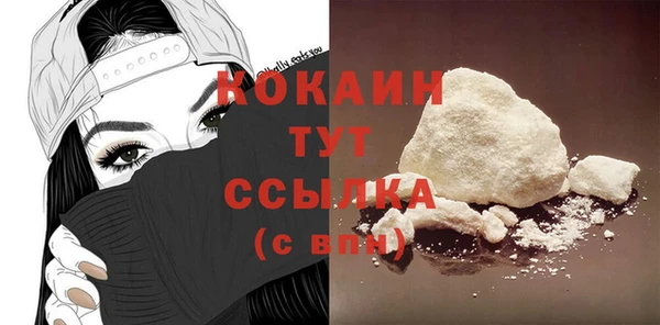 spice Богданович