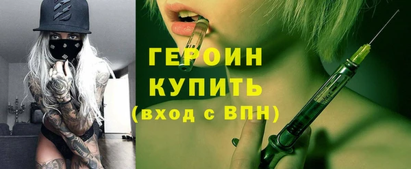 гидра Богородицк