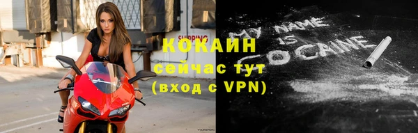 гидра Богородицк