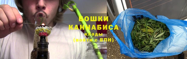 spice Богданович