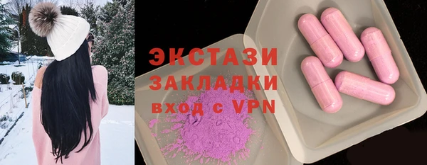 гидра Богородицк