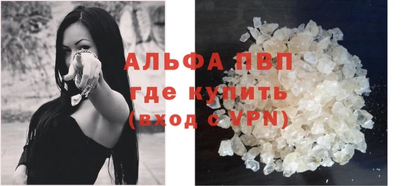 spice Богданович
