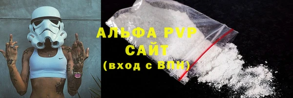 spice Богданович