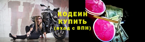 гидра Богородицк