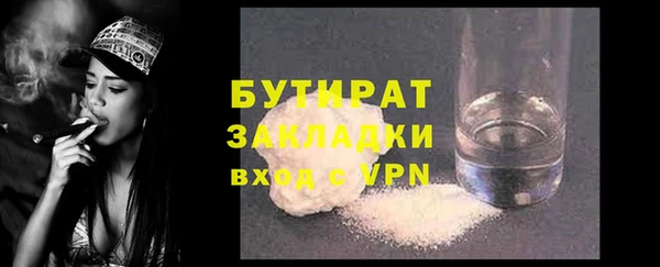 гидра Богородицк