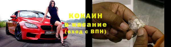 гидра Богородицк