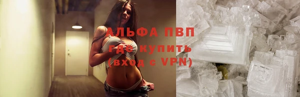гидра Богородицк