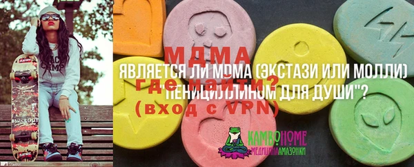 mdpv Богородск