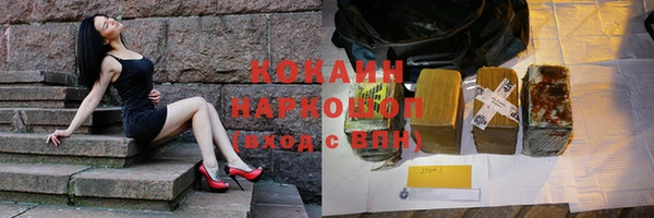 spice Богданович