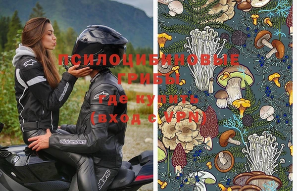 гидра Богородицк