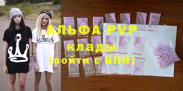 spice Богданович