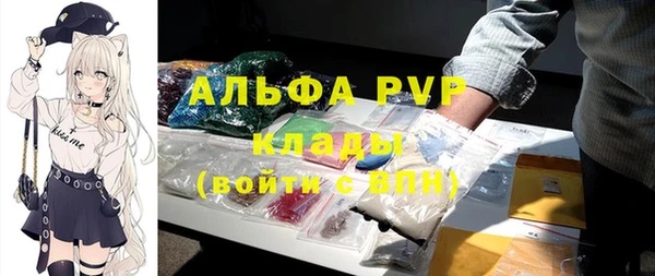 гидра Богородицк