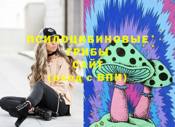 spice Богданович