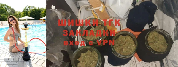 mdpv Богородск