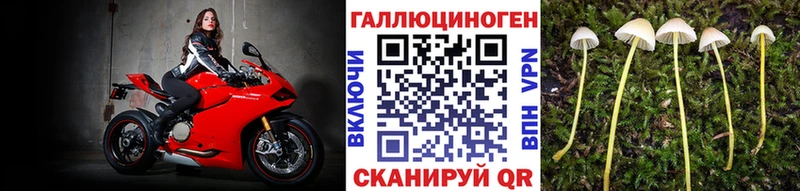 Псилоцибиновые грибы прущие грибы  дарнет шоп  Горнозаводск 